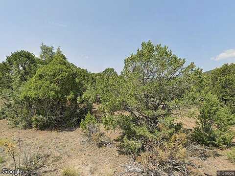 Cactus, SOUTH FORK, CO 81154