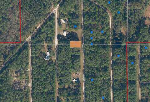 Mosswood, GEORGETOWN, FL 32139