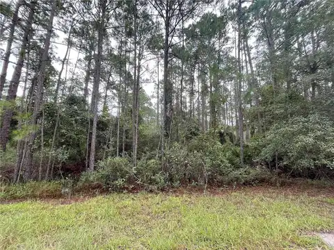 Mosswood, GEORGETOWN, FL 32139