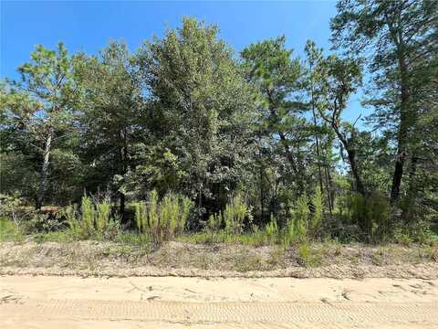 Shangri-La, INTERLACHEN, FL 32148