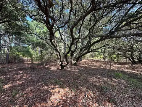 False Cape, COROLLA, NC 27927