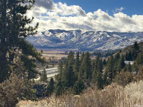 Kelly Canyon, WASHOE VALLEY, NV 89704