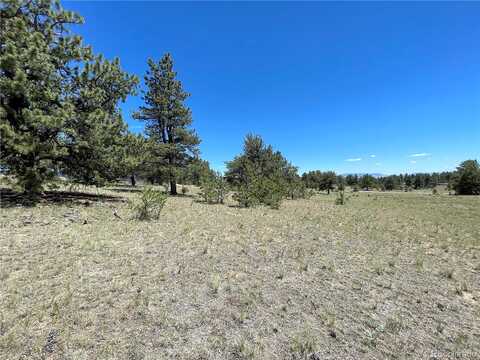 Jasper, HARTSEL, CO 80449