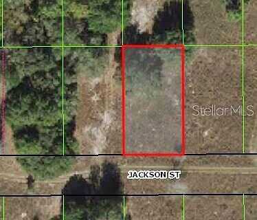 Jackson, INVERNESS, FL 34453