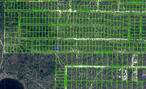 Honey Dew, SEBRING, FL 33875