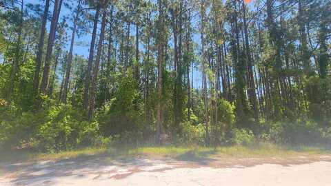 Mosswood, GEORGETOWN, FL 32139