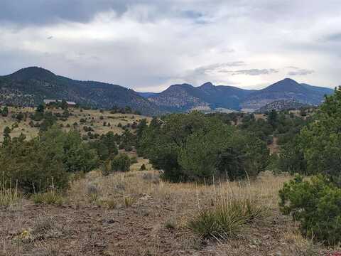 Bear Creek, SOUTH FORK, CO 81154