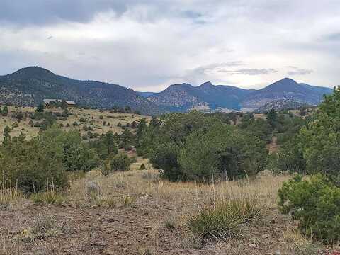 Bear Creek, SOUTH FORK, CO 81154