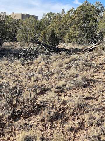 Kiva, SANDIA PARK, NM 87047