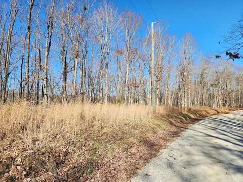 Earley Farm Road, Amherst, VA 24521