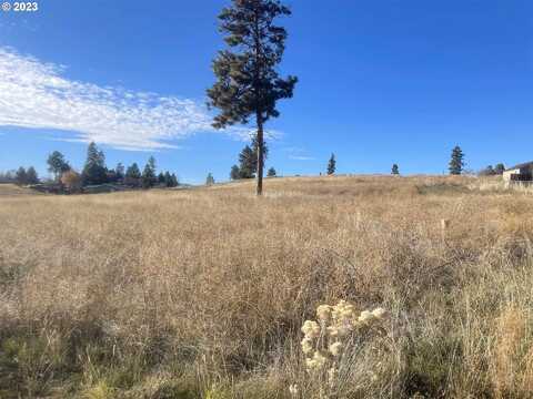 Deerview Ct, Chiloquin, OR 97624