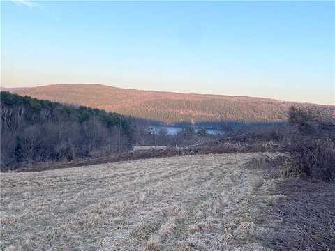 County Highway 28, Otsego, NY 13326