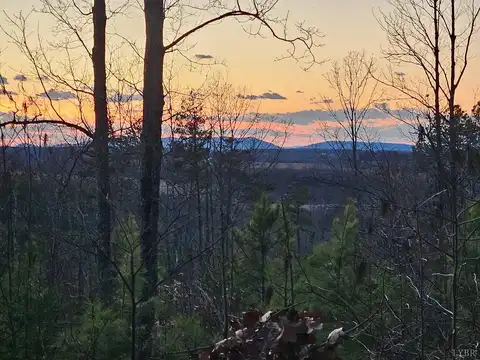 Camellia Lane, Hurt, VA 24563