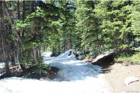 Lamartine Rd, Idaho Springs, CO 80452