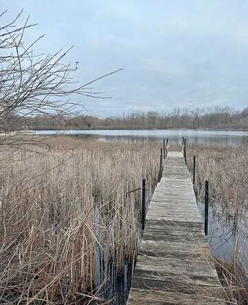 Acre Lot Shores Point Drive, Brighton, MI 48116