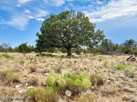 Bridge Canyon, SELIGMAN, AZ 86337