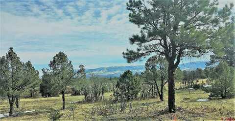 Tbd S Badger Trail, Ridgway, CO 81432