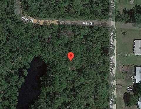 Tbd Royal Avenue, Interlachen, FL 32148