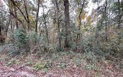 Tbd Off 10Th Ter. Lot 13, Live Oak, FL 32060