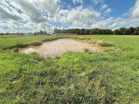 Tbd Lot 8 Cr 119, Kaufman, TX 75142