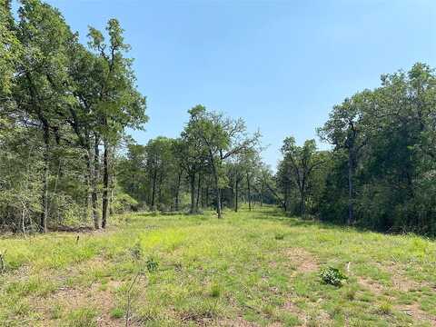 Tbd High Crossing Rd - Tract 8, Smithville, TX 78957