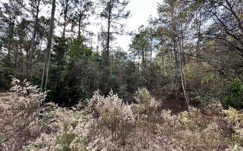 Tbd 177Th Road Lot 16, Live Oak, FL 32060