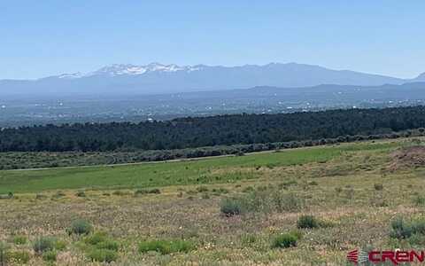 Tbd 17.9 Loop Lot 12, Cortez, CO 81321