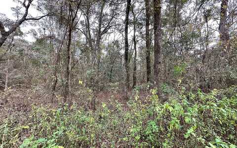 Tbd 14Th Street Lot 10, Live Oak, FL 32060