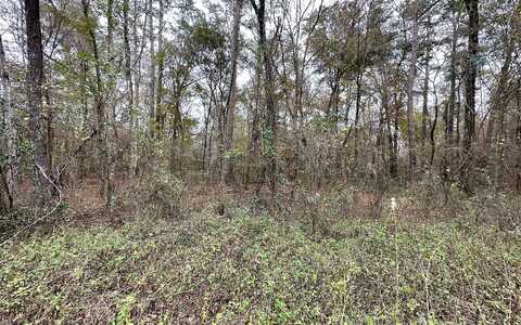 Tbd 12Th Terrace Lot 4, Live Oak, FL 32060