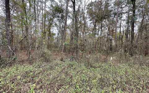 Tbd 12Th Terrace Lot 3, Live Oak, FL 32060