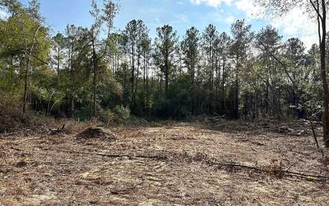 Tbd 12Th Terrace Lot 16, Live Oak, FL 32060