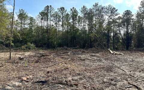 Tbd 12Th Terrace Lot 15, Live Oak, FL 32060