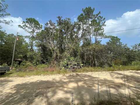 Robin, Interlachen, FL 32148