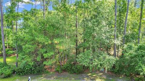 Riverpoint Lane, Townsend, GA 31331