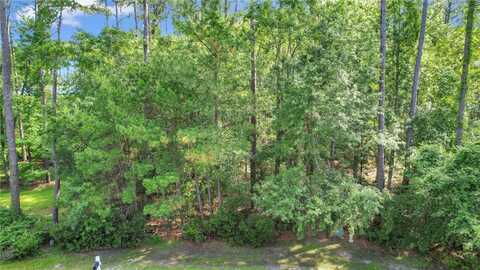 Riverpoint Lane, Townsend, GA 31331