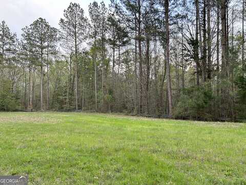 Panther Point, Elberton, GA 30635