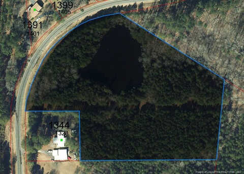 Lower Moncure Road, Sanford, NC 27330