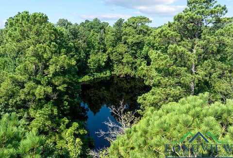 Lot 7 Mistletoe, Gilmer, TX 75644