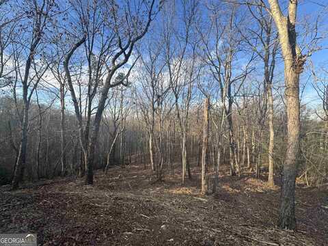 Lot 57 Teel Mtn Drive, Cleveland, GA 30528