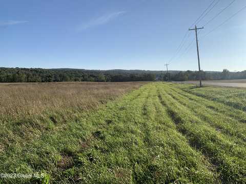 Lot 5 Ny 30, Esperance, NY 12066