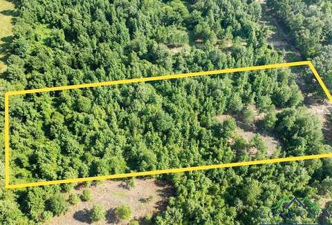 Lot 5 Mistletoe, Gilmer, TX 75644