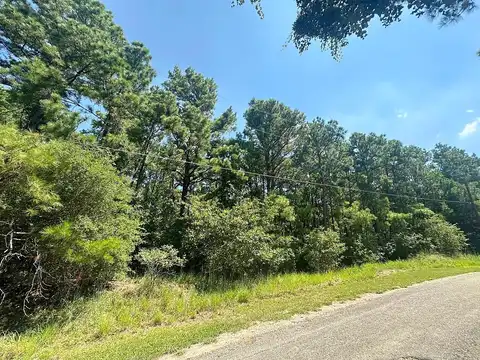 Lot 46 Kamakoa Lane, Bastrop, TX 78602