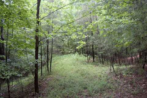 Lot 369 Mt Airy Rd, Lynch Station, VA 24571