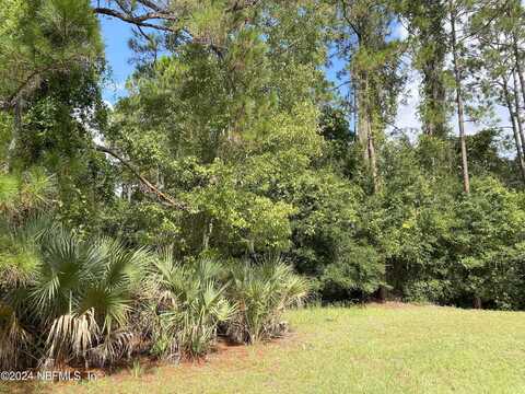 Lot 32 Lone Laurel Lane, Georgetown, FL 32112