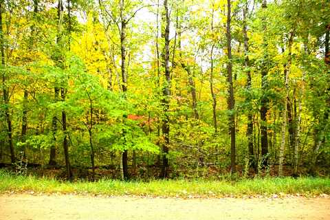 Lot 27 Block 4 Ode Circle, Browerville, MN 56438