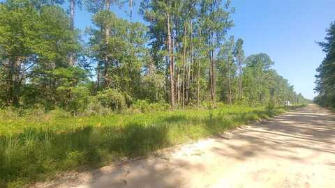 Lot 22 Selma Avenue, Interlachen, FL 32148