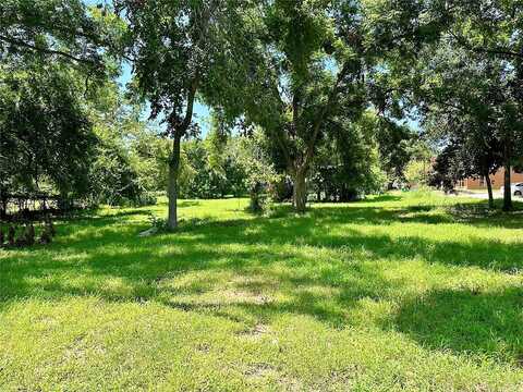 Lot 2 E Alamo Street, Elgin, TX 78621