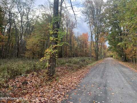 Lot 2 Clickman Road 12193 # 12193, Westerlo, NY 12193