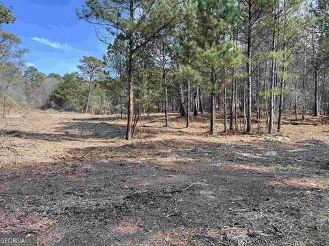 Lot 1 Guthrie Cemetery Road, Loganville, GA 30052