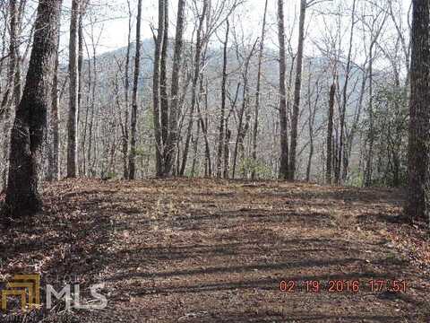 L28 Lot 29 Hidden River, Hayesville, NC 28904